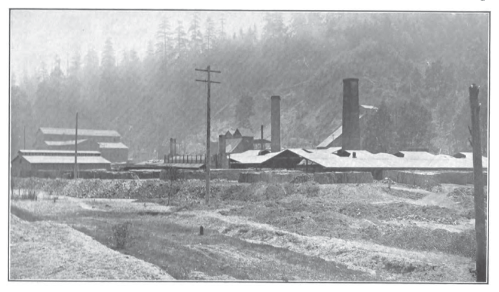 View of the Denny Renton Company plant at Renton.