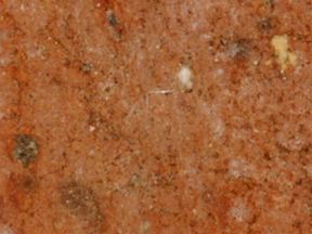 Microscopic view of the interior of the L.F.F.C.Co. paving brick (50x, field of view is 1/4 inch).