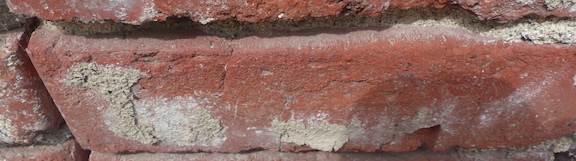 View of part of the wire-cut face of the WACo wire-cut common brick showing the transverse velour texture.