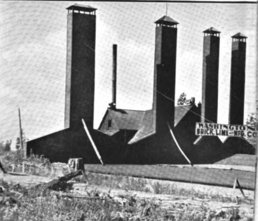 View of the plant of the Washington Brick and Lime Company at Freeman.